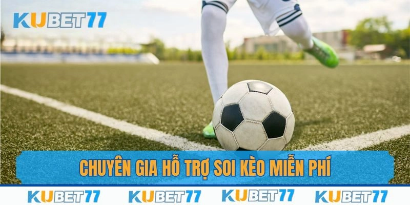 Tổng hợp các dịch vụ thành viên có thể trải nghiệm tại Saba thể thao
