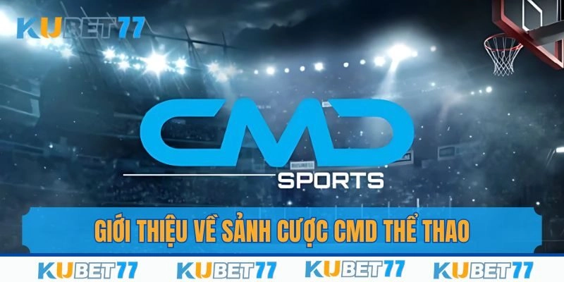 Giới thiệu tới khách hàng một địa chỉ tổ chức cá độ uy tín - CMD