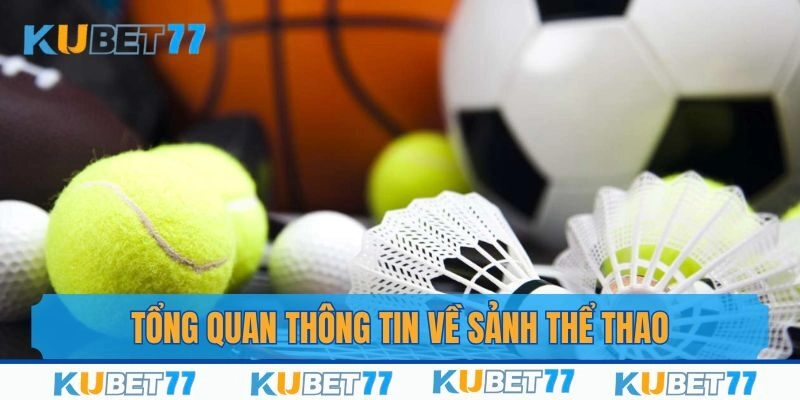 Thông tin tổng quan về sảnh thể thao